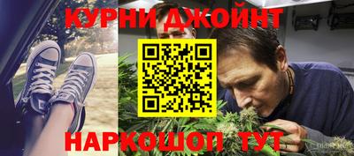 шишки Тверь
