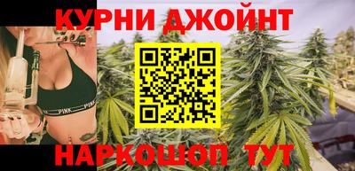 шишки Тверь